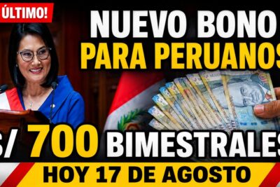 Nuevo Bono 700